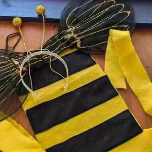 Bee Costume